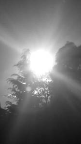 download_20131120_143730