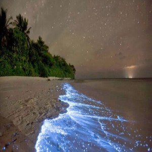 3aed49eb-60c4-416e-832c-07a1e83dbda7