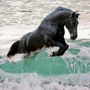 57e502e9-4826-4693-812e-ebadcff87b86