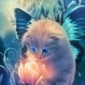 991562f5-2b75-4f6e-a986-a77fb2f98f20