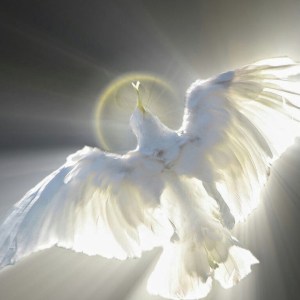 e1e297de-f13e-417d-9714-d09a74d894da