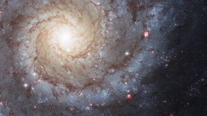 10007361216_ce521e3894_z