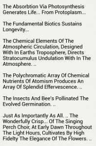 The Morning Phonology Of The Song Bird
