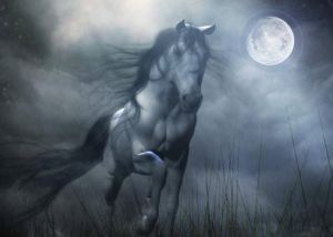 1234796_415146931924025_50162318_n