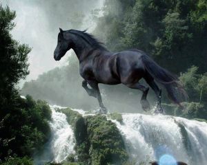 1240483_658355837515904_975127639_n